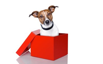 Make first impressions count