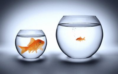 Are you letting comparisonitis kill your business