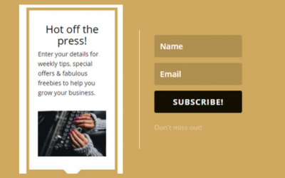 How To Grow Your List Without A Big Budget
